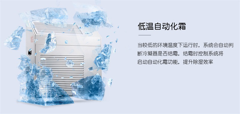 壁挂猫咪成人官网6