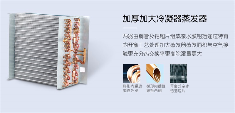 手推猫咪成人官网2