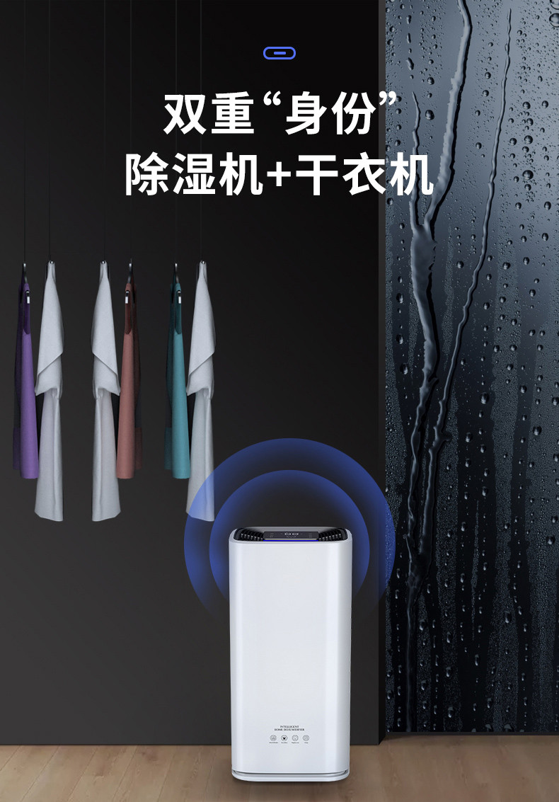 家用猫咪成人官网10