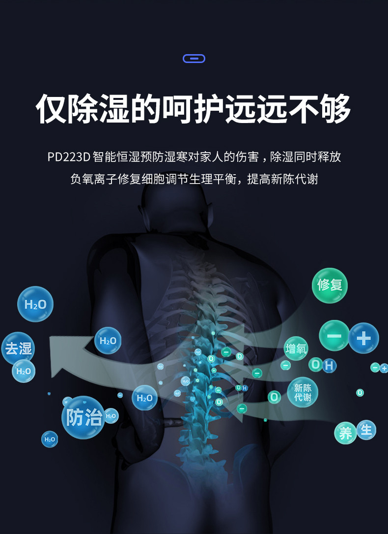 家用猫咪成人官网4