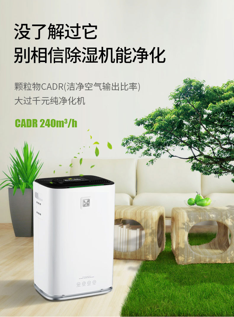 家用猫咪成人官网06