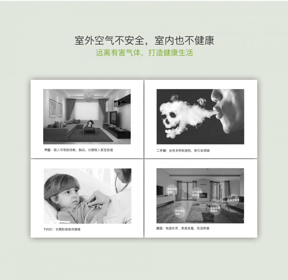 新风净化猫咪成人官网04