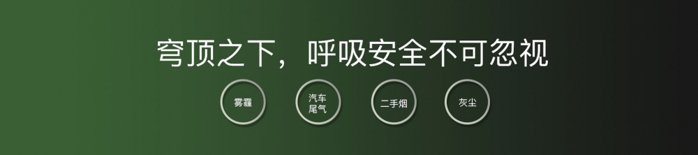 新风净化猫咪成人官网03