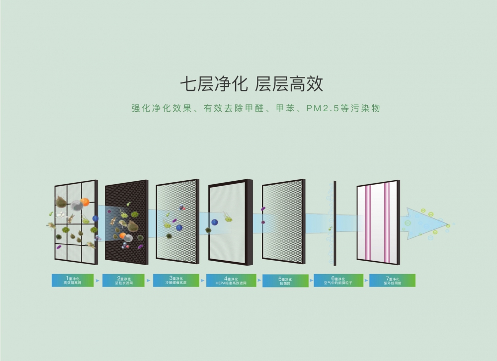 新风净化猫咪成人官网11