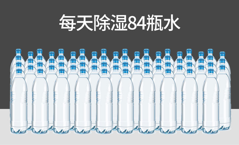 家用猫咪成人官网11