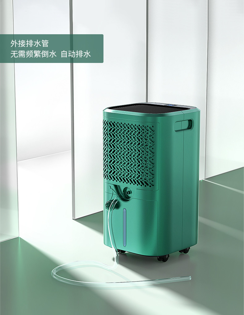 家用猫咪成人官网15