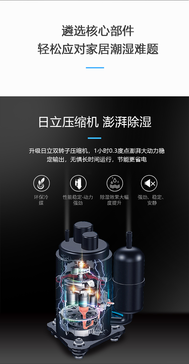 家用猫咪成人官网06