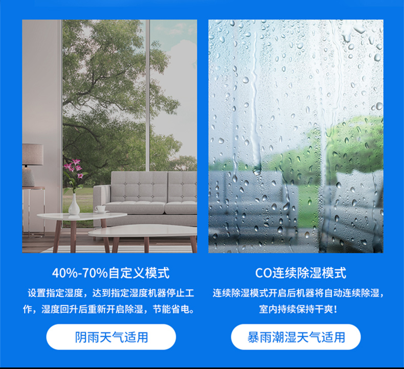 家用猫咪成人官网11